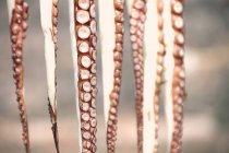 Tentáculos de polvo pendurados — Fotografia de Stock