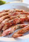 Plate of grilled prawns — Stock Photo