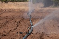 Tuyau d'irrigation sur le terrain — Photo de stock