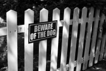 Cuidado con el signo de perro - foto de stock