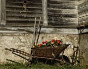 Country wheelbarrow near wall — Stock Photo