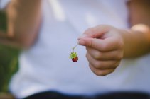 Garçon tenant une fraise — Photo de stock