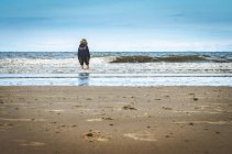 Хлопчик стоїть у воді на пляжі — стокове фото
