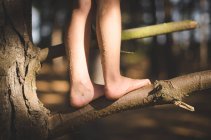 Child feet on tree — Stock Photo