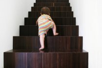 Детский подъем по деревянной лестнице — стоковое фото