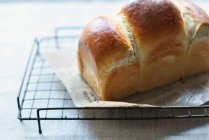 Freshly baked bread — Stock Photo