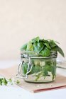 Fresh basil leaves in jar — Stock Photo