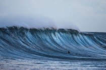 Surfista remando en el océano - foto de stock