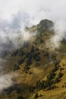 Vue de la montagne dans le brouillard — Photo de stock