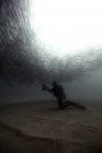 Scuba subacqueo scuola di fotografia di jack — Foto stock