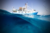 Boat and lemon shark swimming underwater — Stock Photo