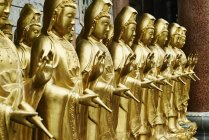 Budas doradas en el templo - foto de stock