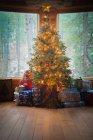 Árbol de Navidad iluminado - foto de stock
