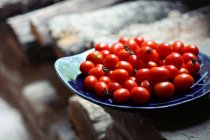 Teller mit Baby-Pflaumen-Tomaten — Stockfoto