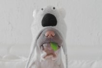Shar pei dog in koala costume — Stock Photo