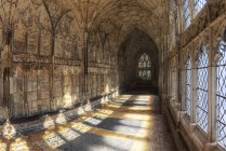 Cloister of Gloucester Cathderal — Stock Photo