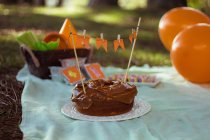 Пикник с тортом, воздушными шарами и угощениями — стоковое фото