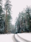 Estrada coberta de neve vazia — Fotografia de Stock
