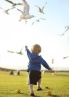 Rapaz a perseguir gaivotas — Fotografia de Stock