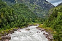 Река, текущая с Гималайского нагорья — стоковое фото