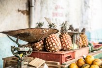 Pineapple stall, Havana, Cuba — Stock Photo