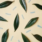 Paper and leaves pattern — Stock Photo