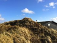 Летний домик, спрятанный в дюнах — стоковое фото