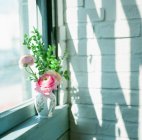 Ranunculus in vase on window sill — Stock Photo