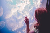 Chica viendo medusas en el acuario - foto de stock