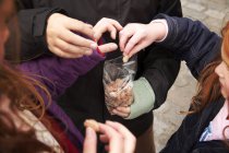 Enfants prenant des noix grillées du paquet — Photo de stock