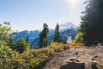Young girl on mountain trail — Stock Photo
