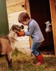 Boy with goat near barn — Stock Photo
