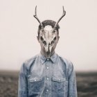 Man with animal skull on his face — Stock Photo