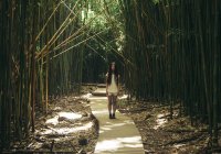 Девушка в бамбуковом лесу — стоковое фото