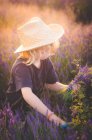 Kleiner Junge pflückt Lavendel — Stockfoto