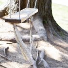 Traditional swing hanging from tree — Stock Photo