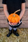 Girl holding small pumpkin — Stock Photo