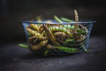Basket of organic beans — Stock Photo