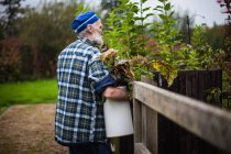 Senior trägt Eimer mit toten Blättern — Stockfoto