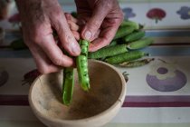 Senior man shelling fresh peas — Stock Photo