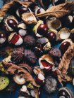 Pattern of brown chestnuts in autumn — Stock Photo