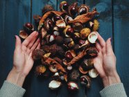 Hands with pile of chestnuts and leaves — Stock Photo