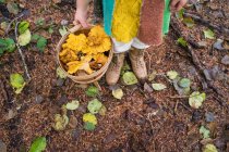 Menina segurando em mãos balde de cogumelos — Fotografia de Stock