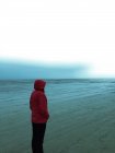 Жінка стоїть на зимовому пляжі — стокове фото