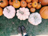 Pattern of pumpkins part — Stock Photo