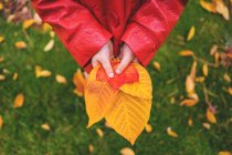 Chica sosteniendo hojas de otoño - foto de stock