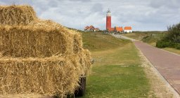 Vue sur le phare Texel — Photo de stock