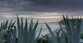 Costa del Algarve al atardecer - foto de stock