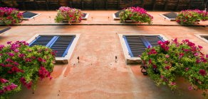 Building exterior with flower boxes — Stock Photo