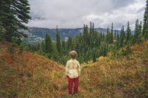 Хлопчик стоїть, дивлячись на вид на долину гір — стокове фото